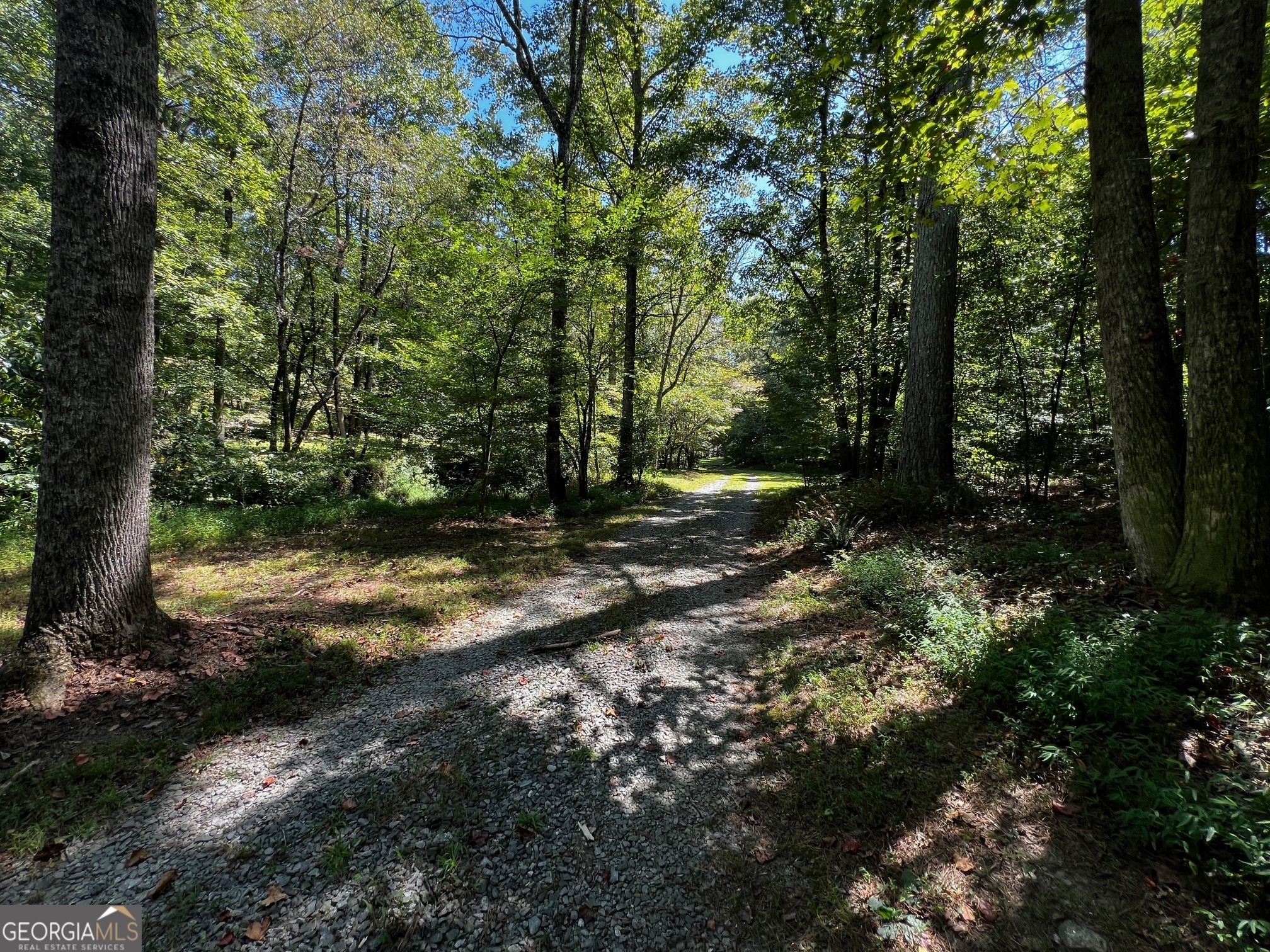 1319 Henry Evans Road Ellijay GA 30536