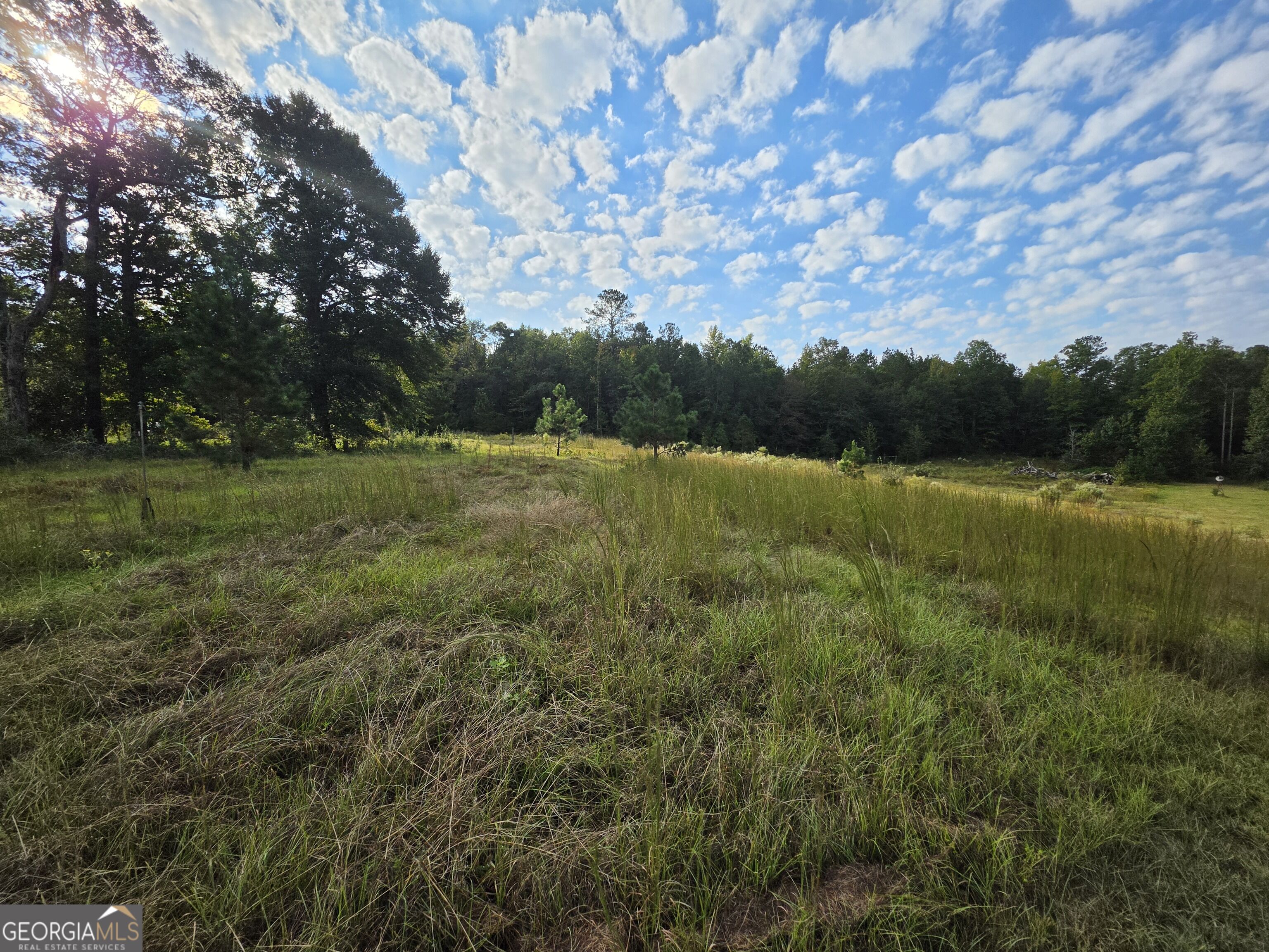 5362 B Highway 24 S Sardis GA 30456