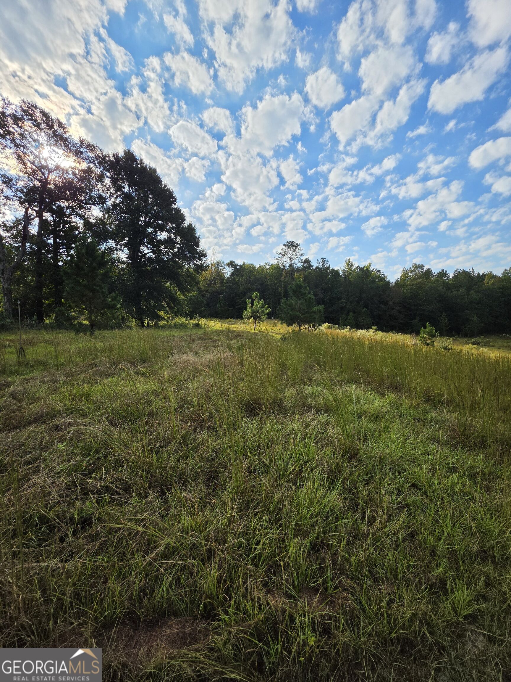 5362 B Highway 24 S Sardis GA 30456