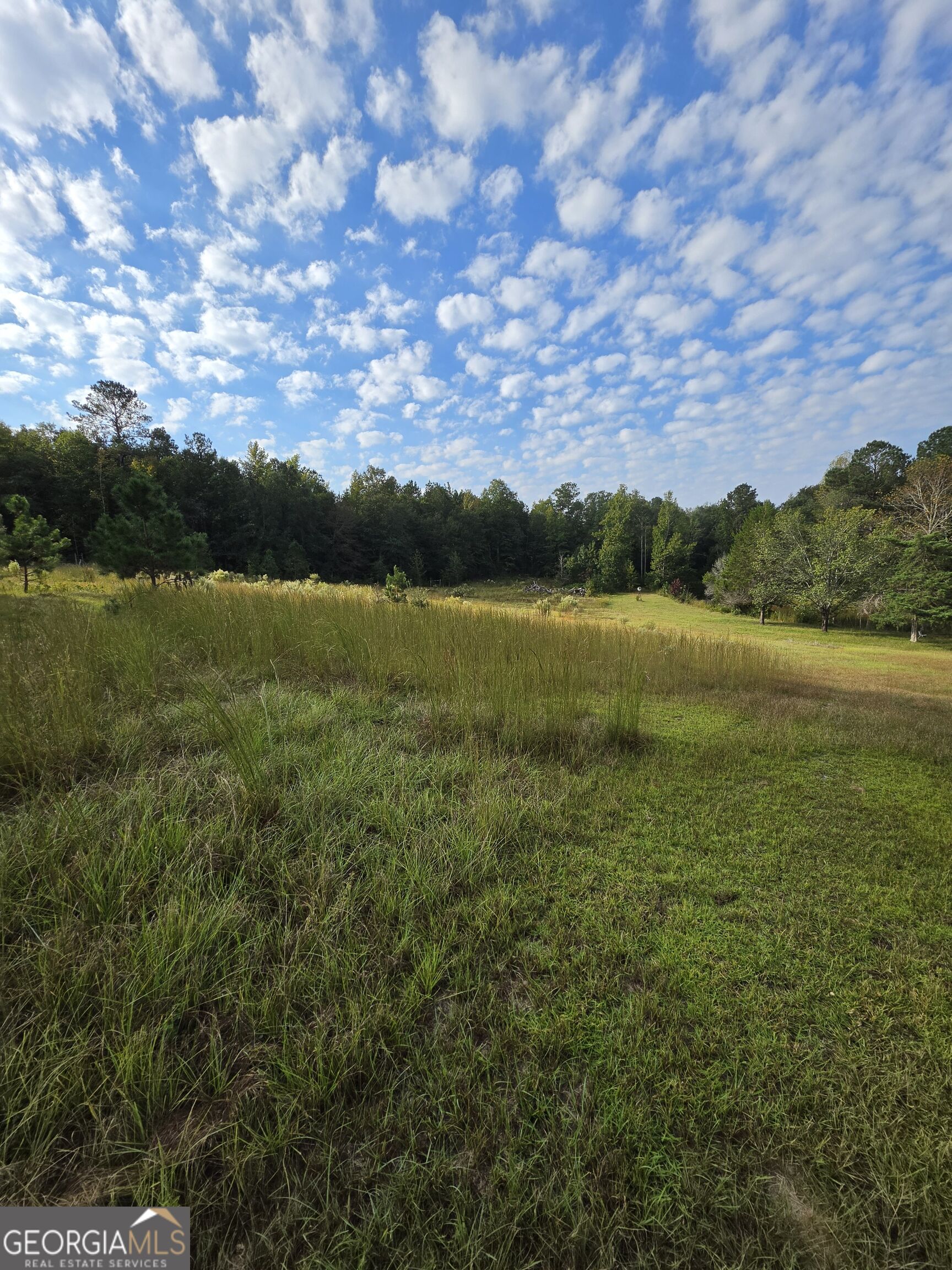 5362 B Highway 24 S Sardis GA 30456