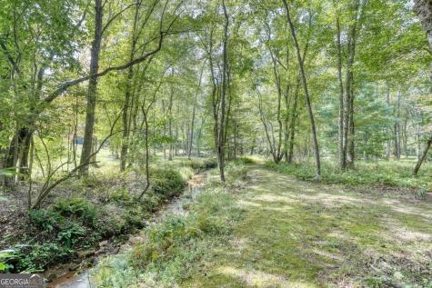 136 Honeybell Lane Blairsville GA 30512