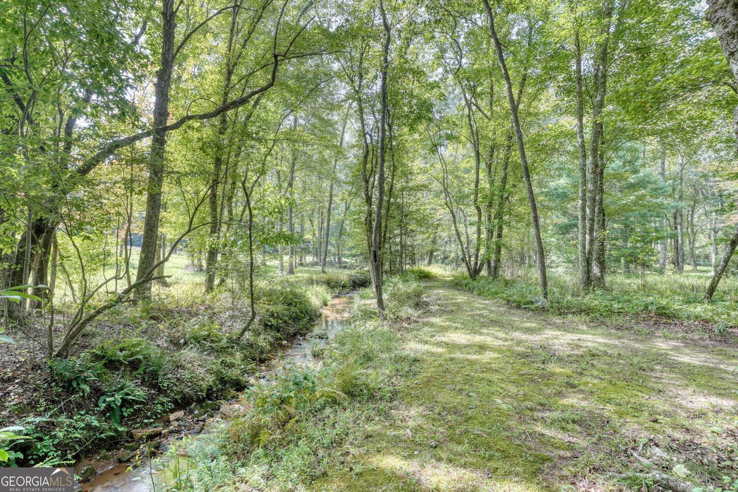 136 Honeybell Lane Blairsville GA 30512