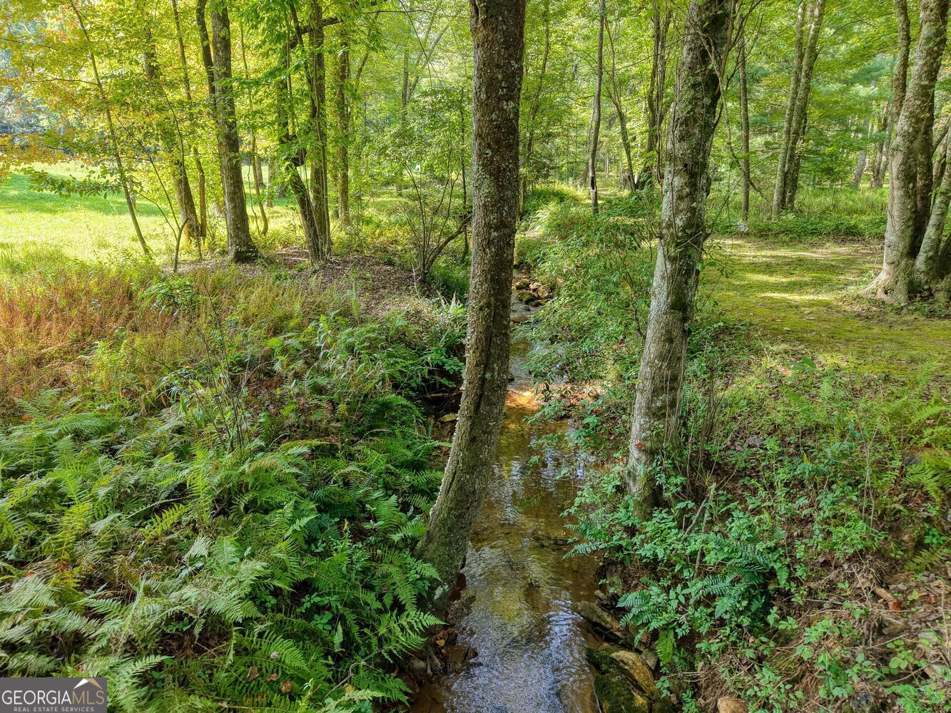 136 Honeybell Lane Blairsville GA 30512
