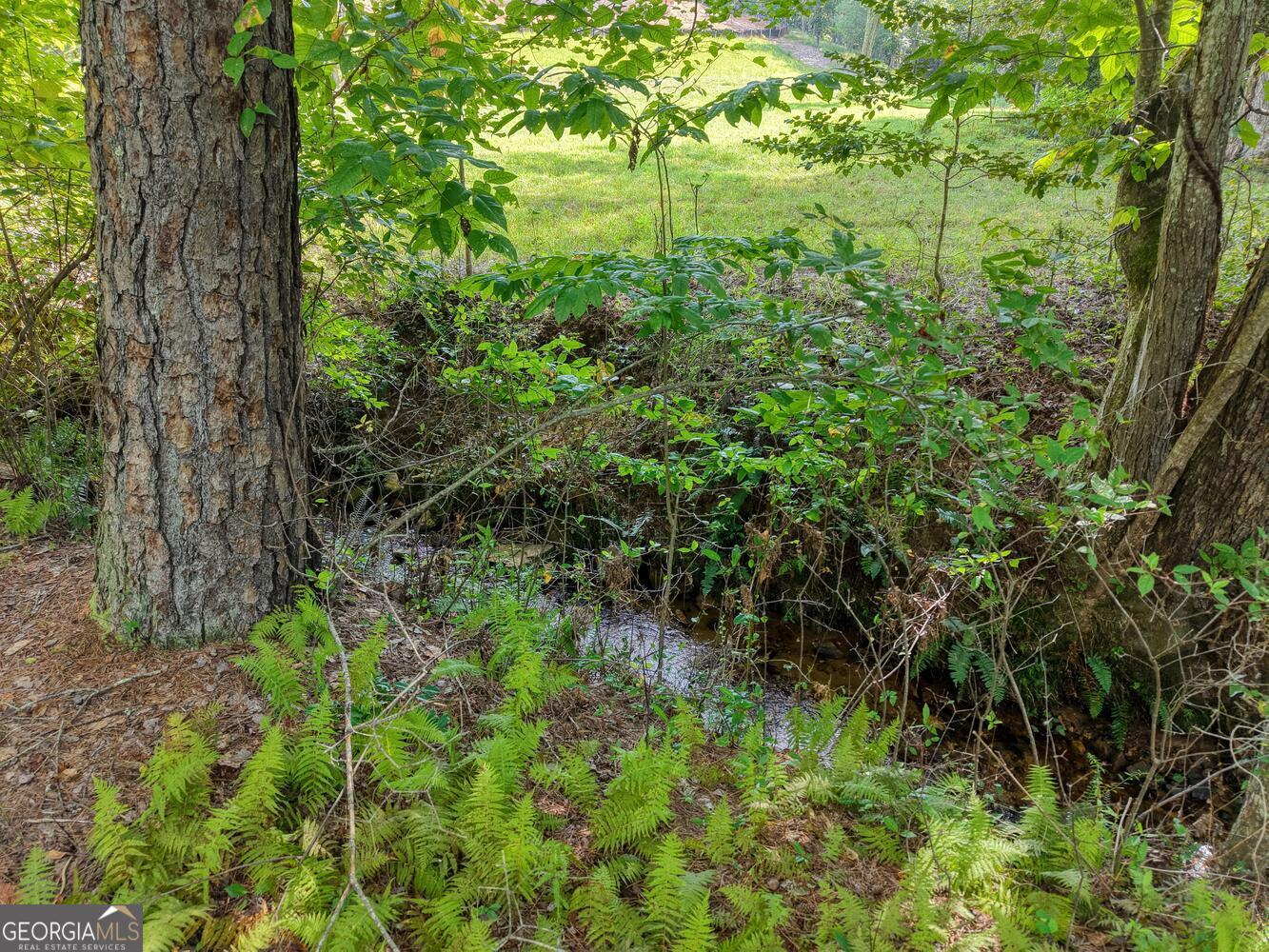 136 Honeybell Lane Blairsville GA 30512