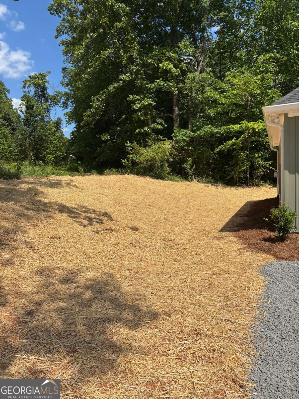 40 Olive Branch Lane Dahlonega GA 30533