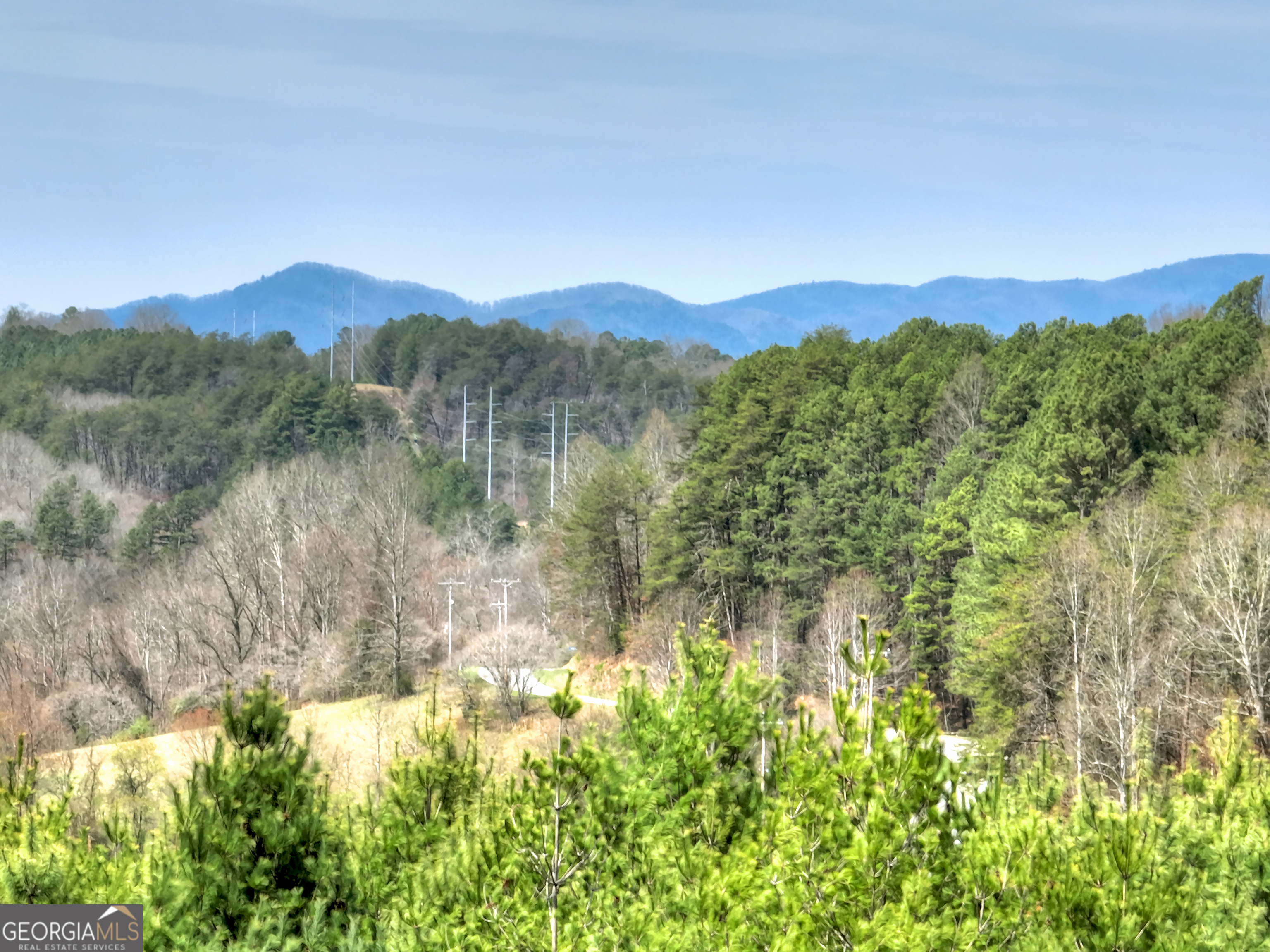 82 Indian Trace Mineral Bluff GA 30559