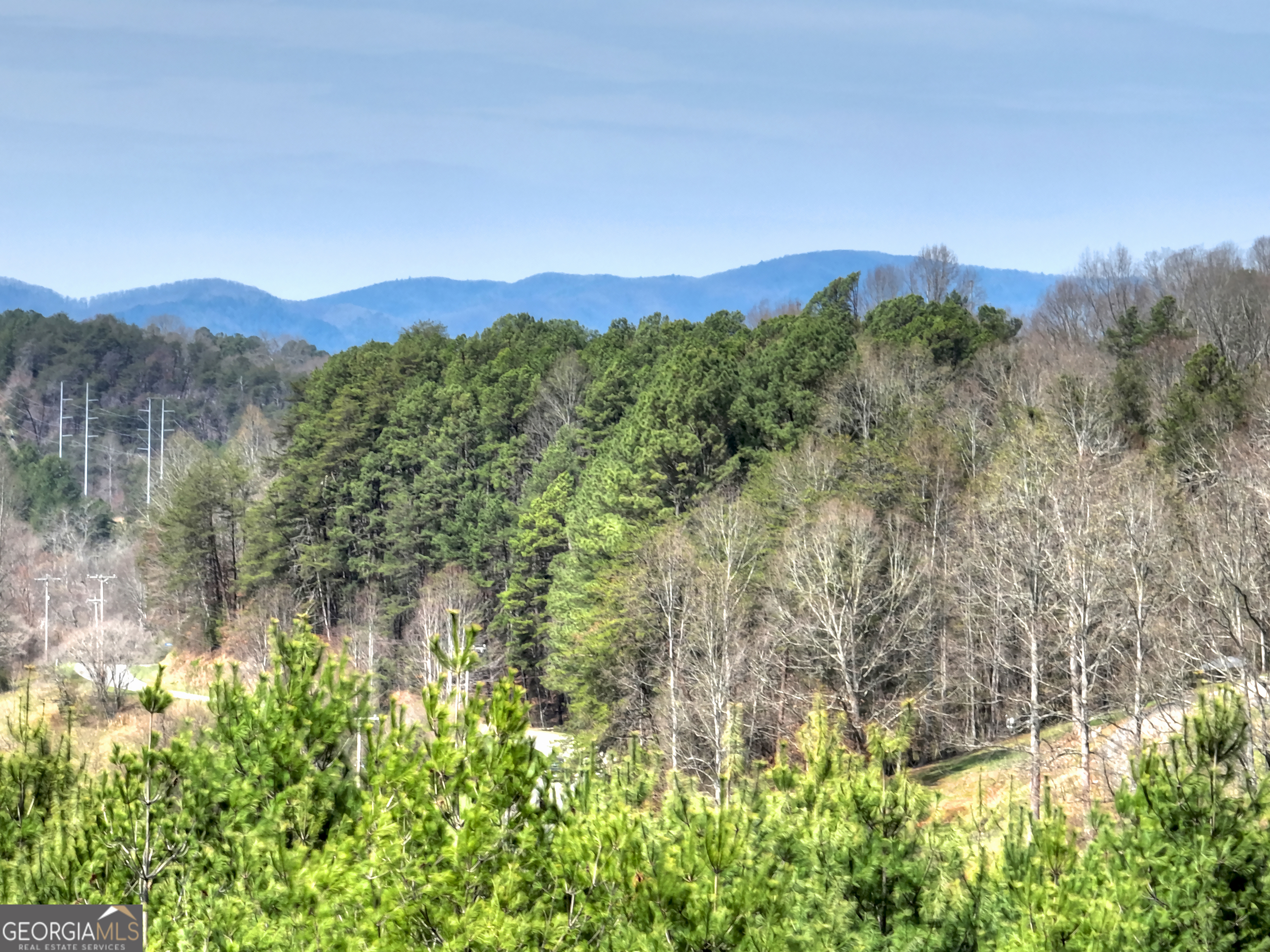 82 Indian Trace Mineral Bluff GA 30559