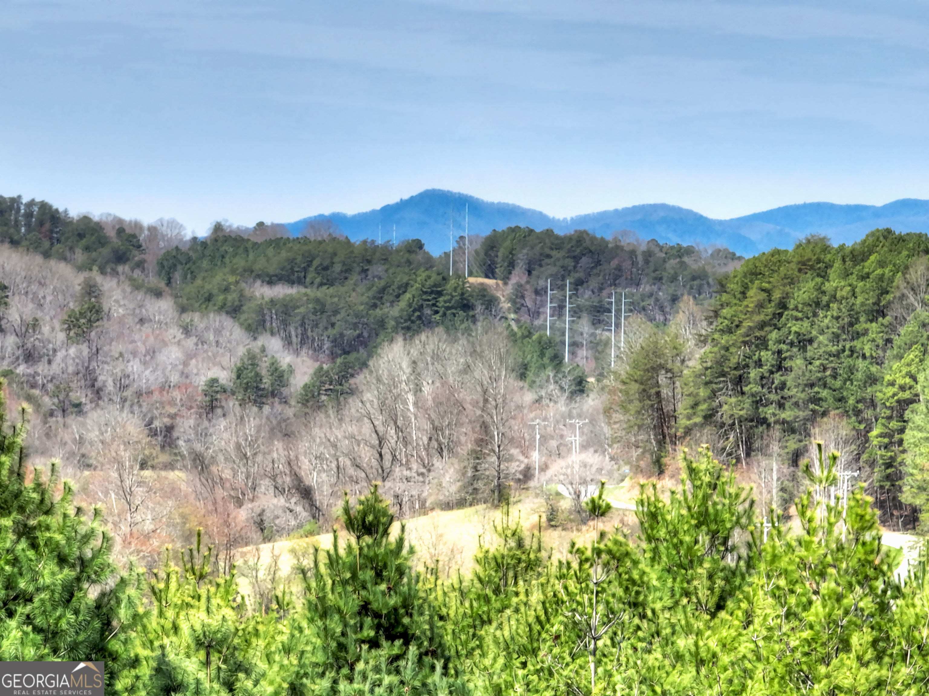 82 Indian Trace Mineral Bluff GA 30559