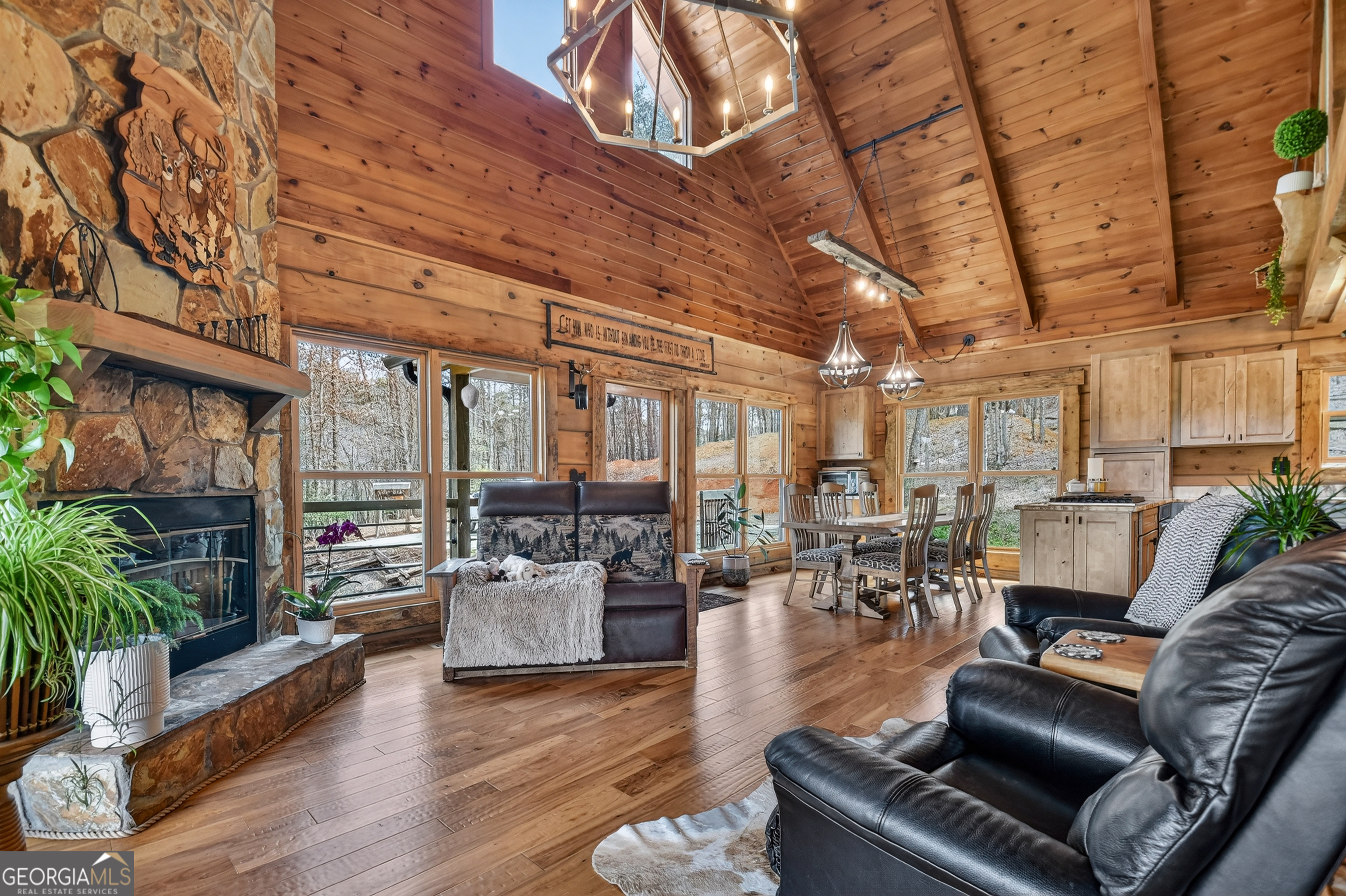 82 Indian Trace Mineral Bluff GA 30559