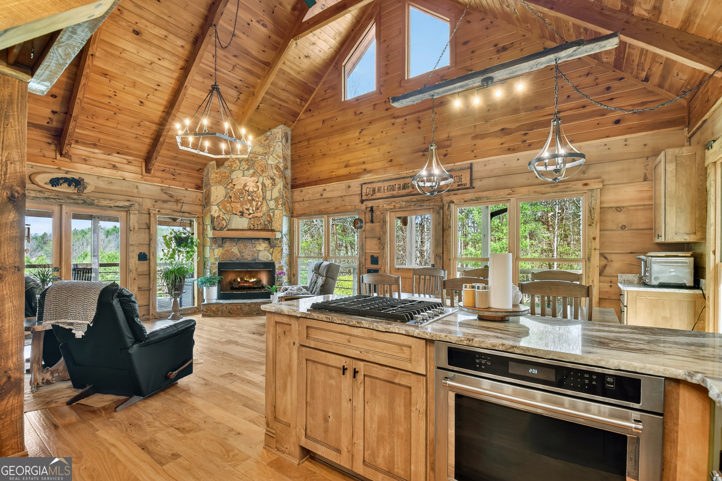 82 Indian Trace Mineral Bluff GA 30559