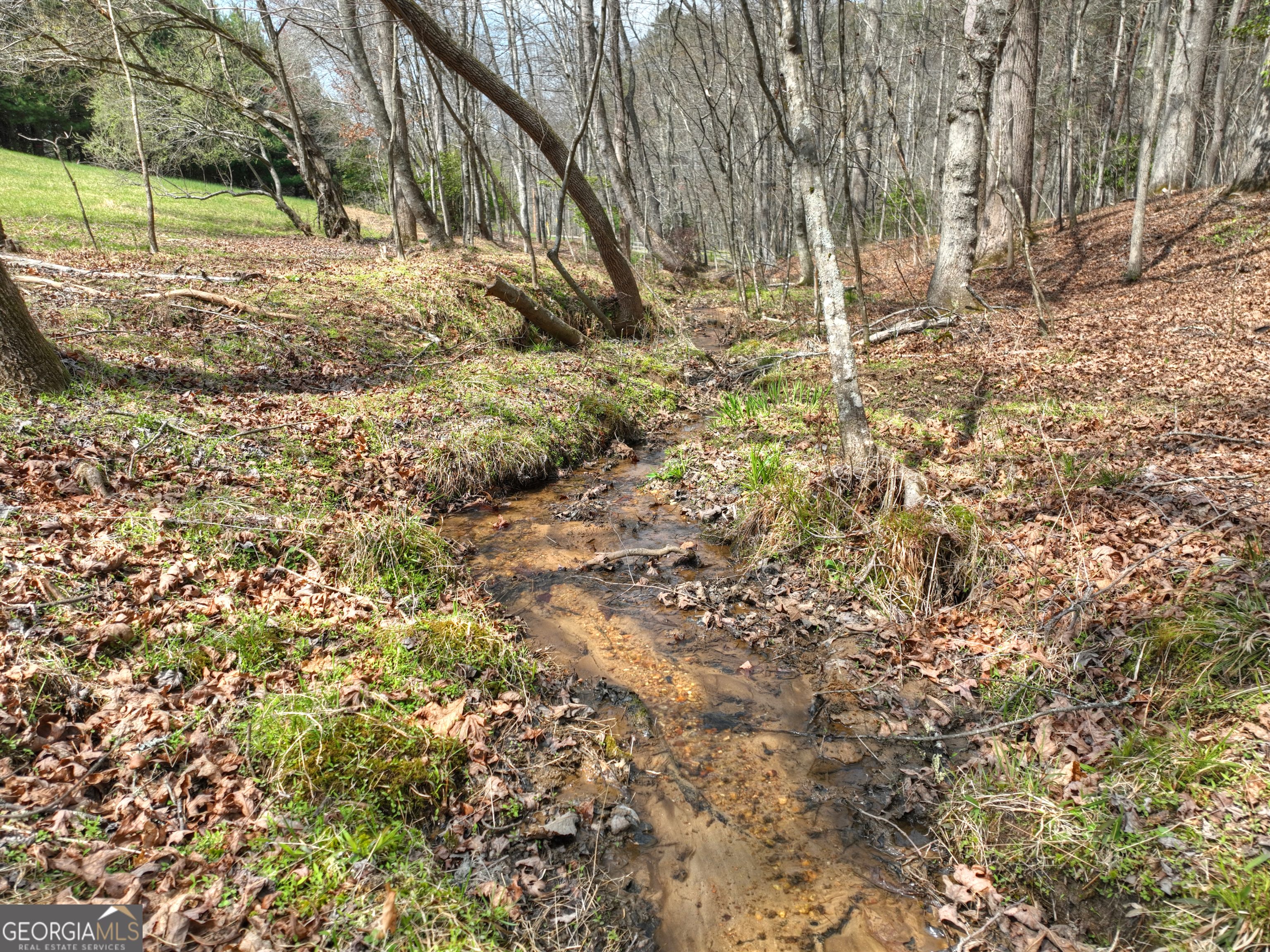 82 Indian Trace Mineral Bluff GA 30559