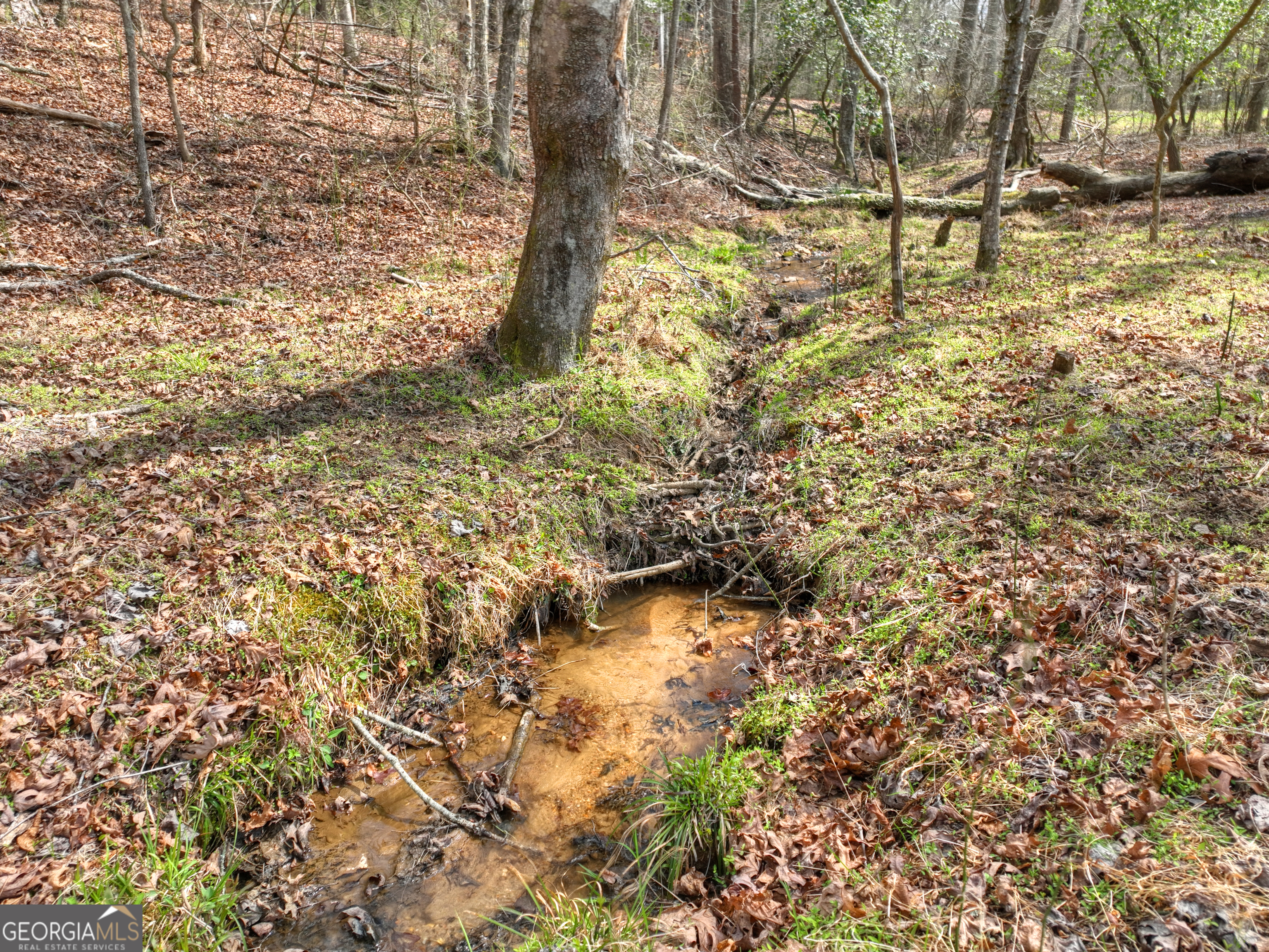 82 Indian Trace Mineral Bluff GA 30559