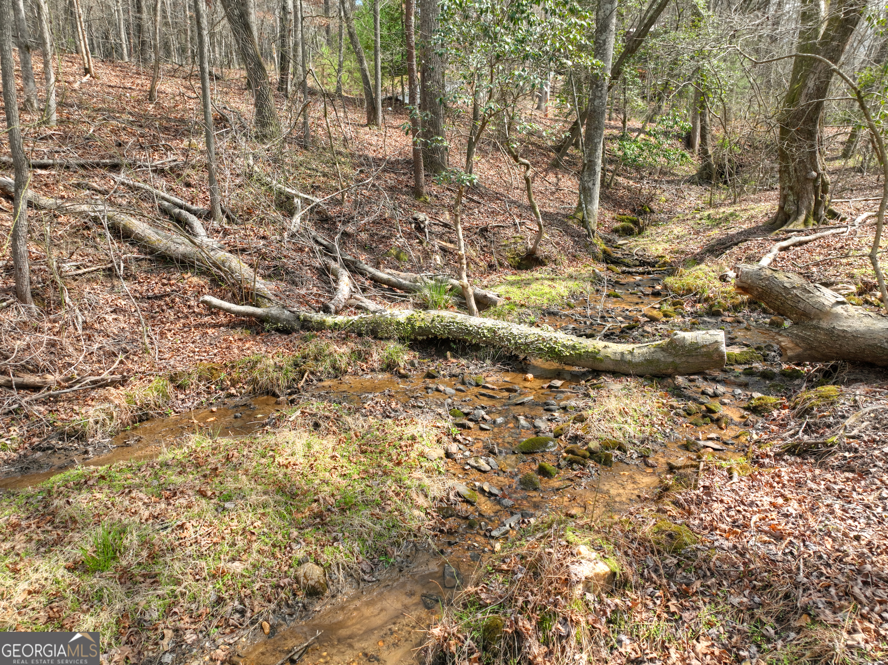 82 Indian Trace Mineral Bluff GA 30559