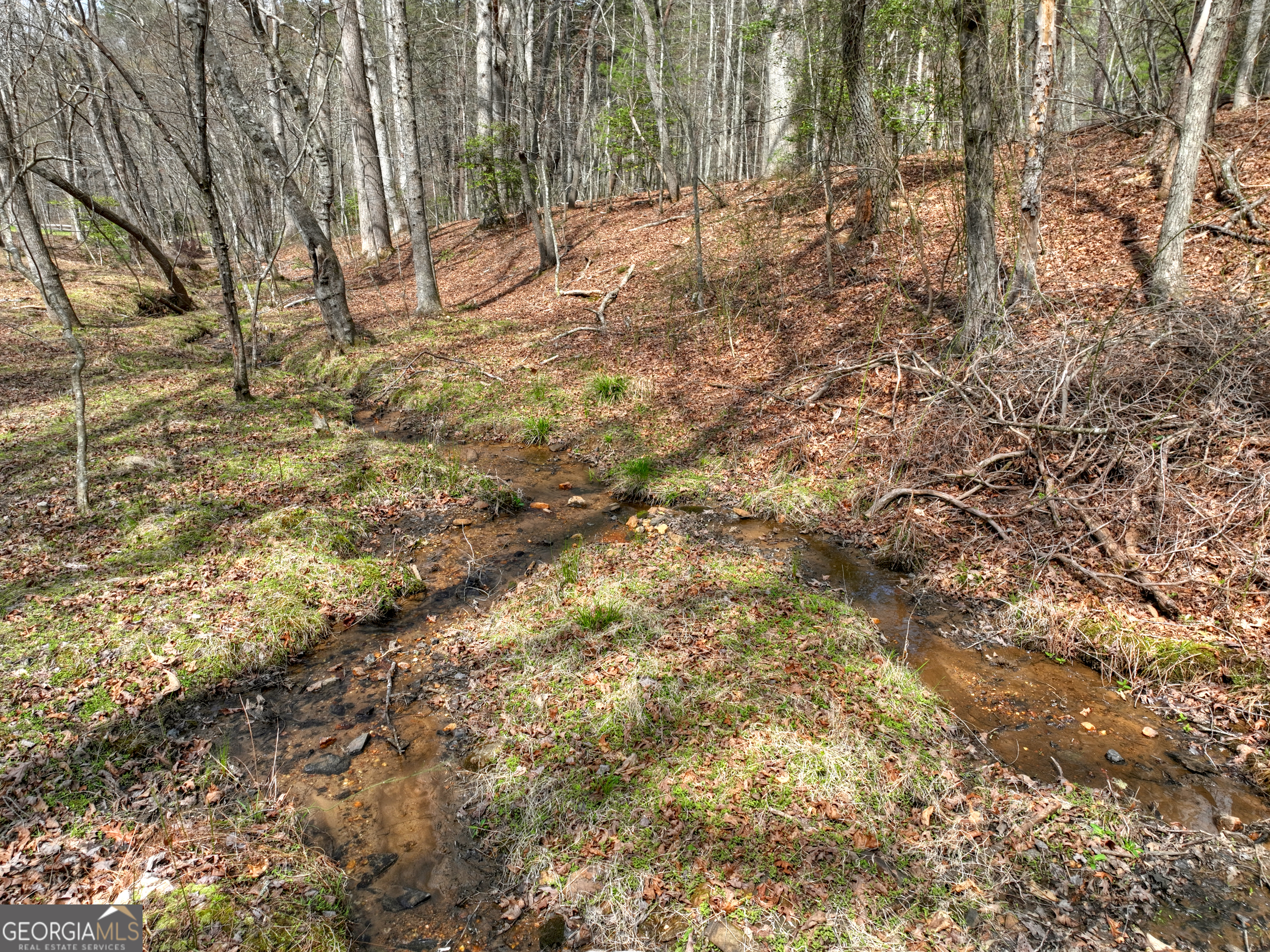 82 Indian Trace Mineral Bluff GA 30559