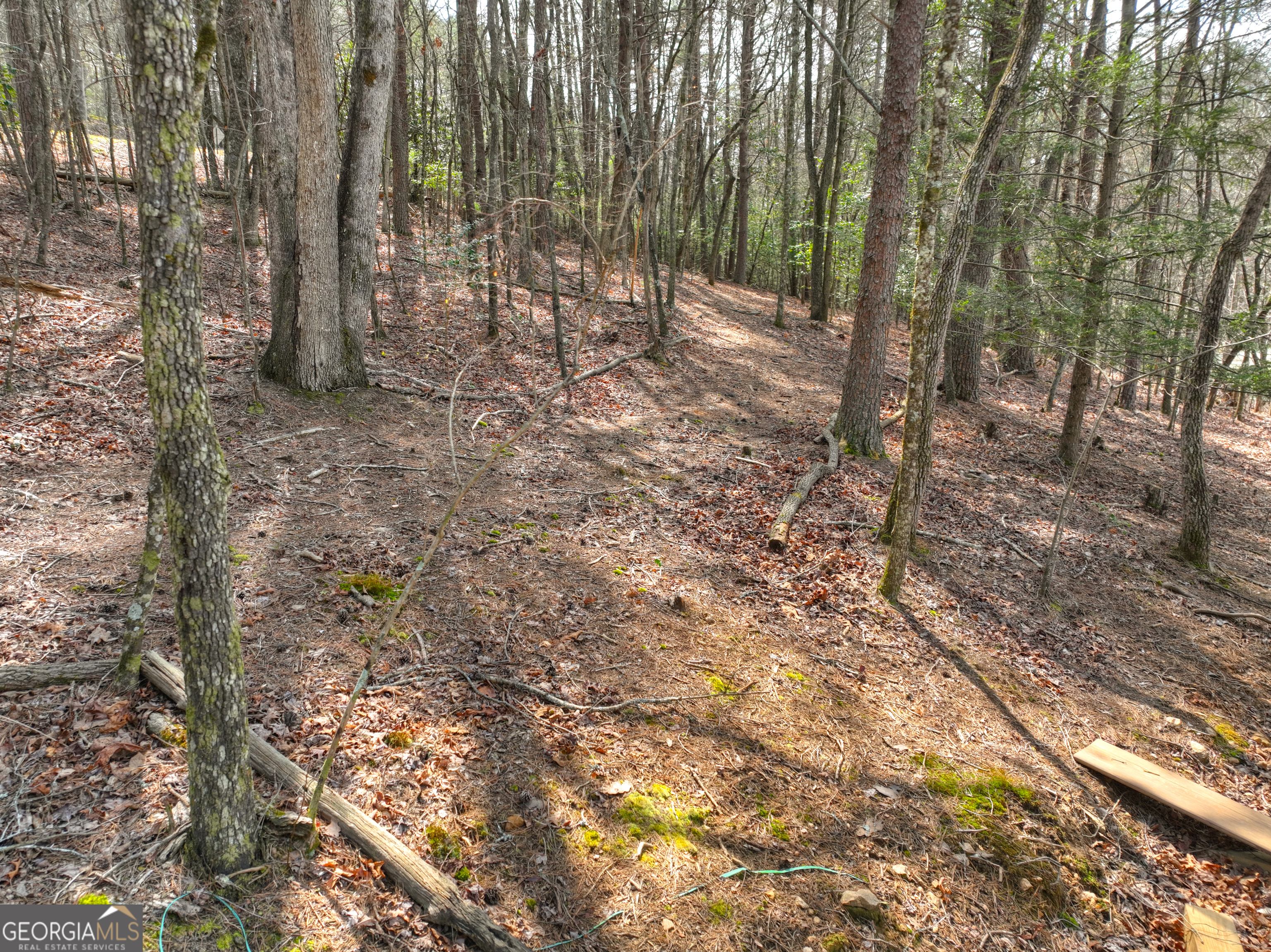 82 Indian Trace Mineral Bluff GA 30559