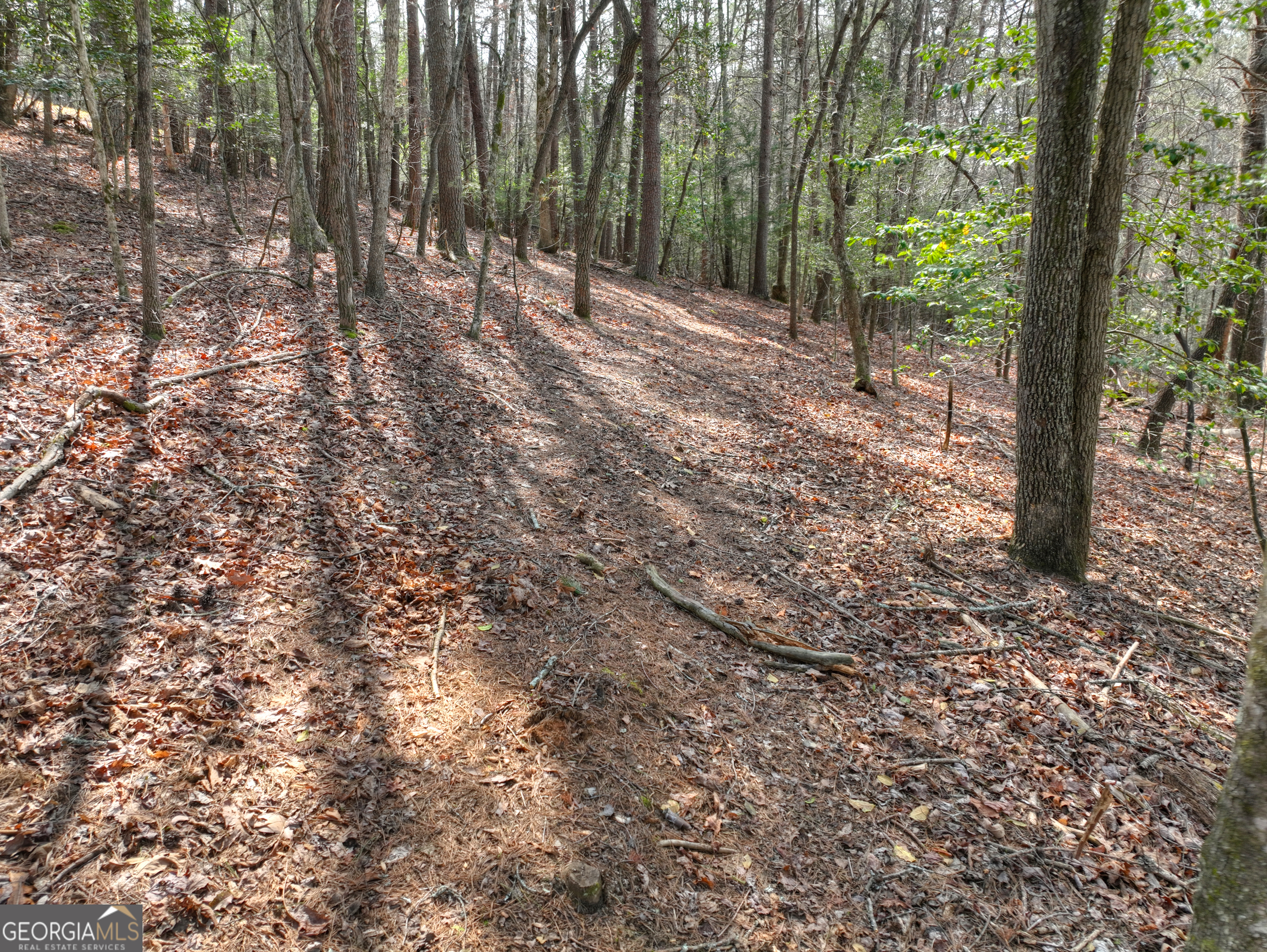 82 Indian Trace Mineral Bluff GA 30559