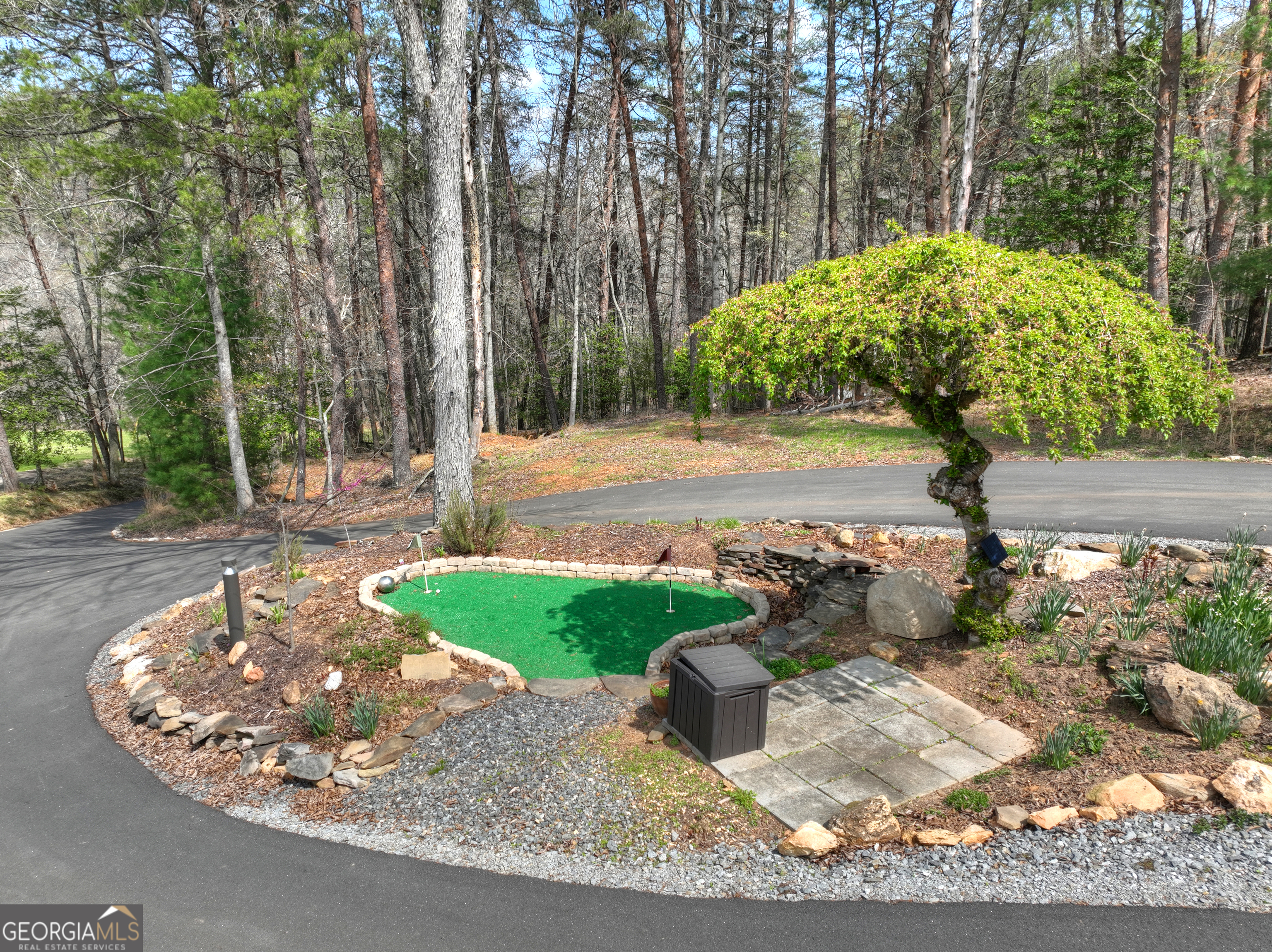 82 Indian Trace Mineral Bluff GA 30559
