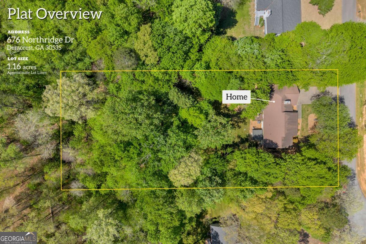 676 Northridge Drive Demorest GA 30535