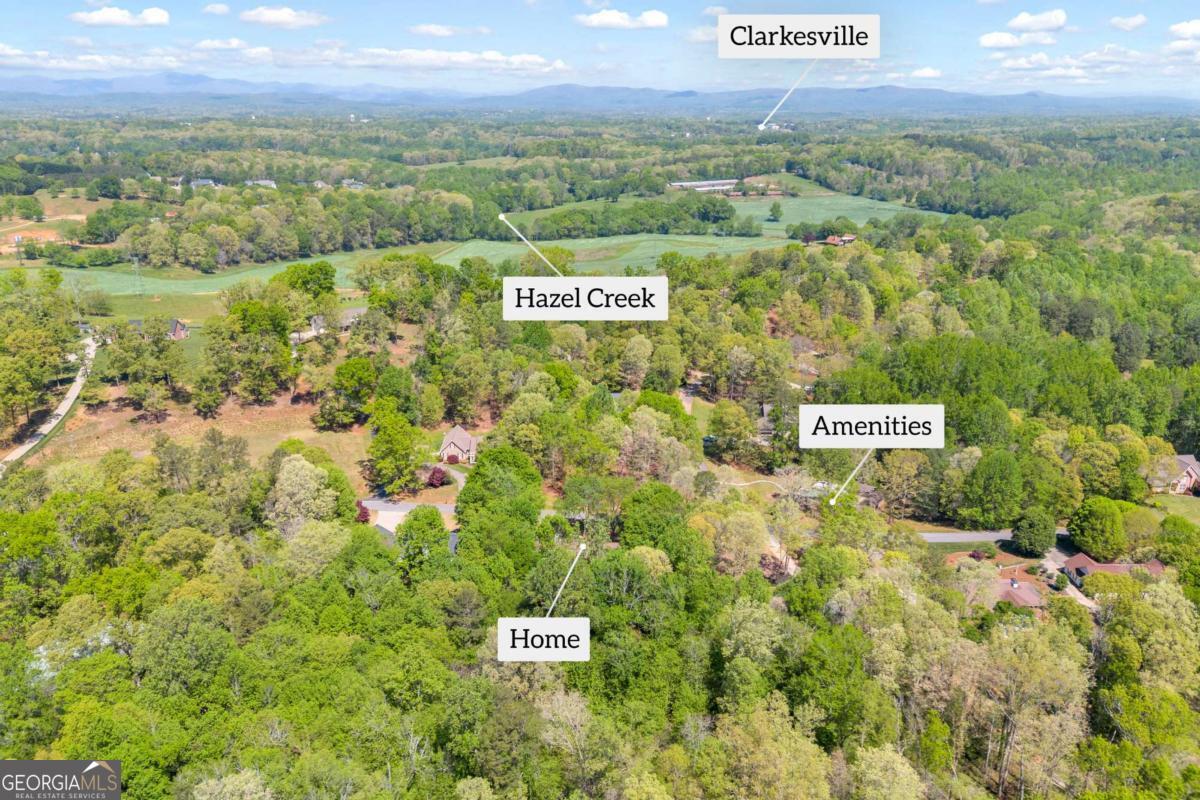 676 Northridge Drive Demorest GA 30535