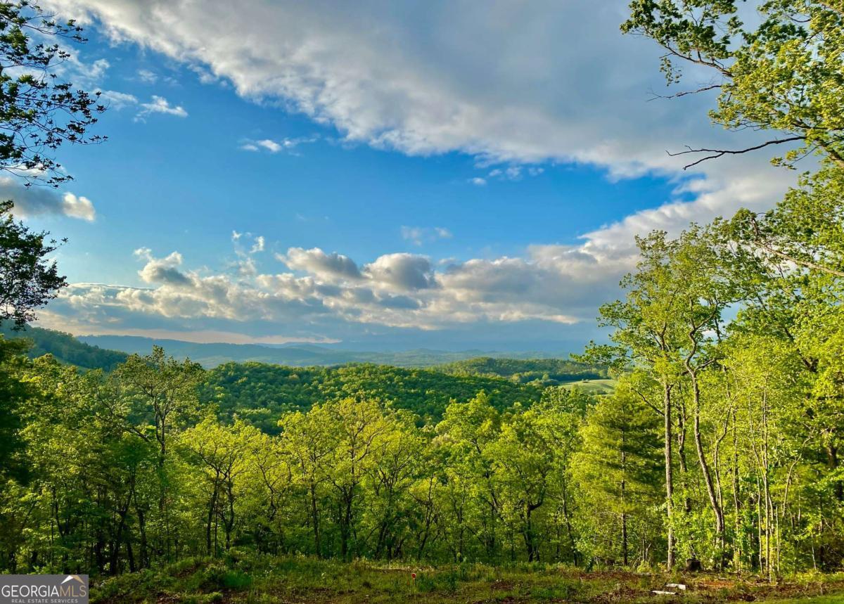 416 Undisclosed Drive Morganton GA 30560