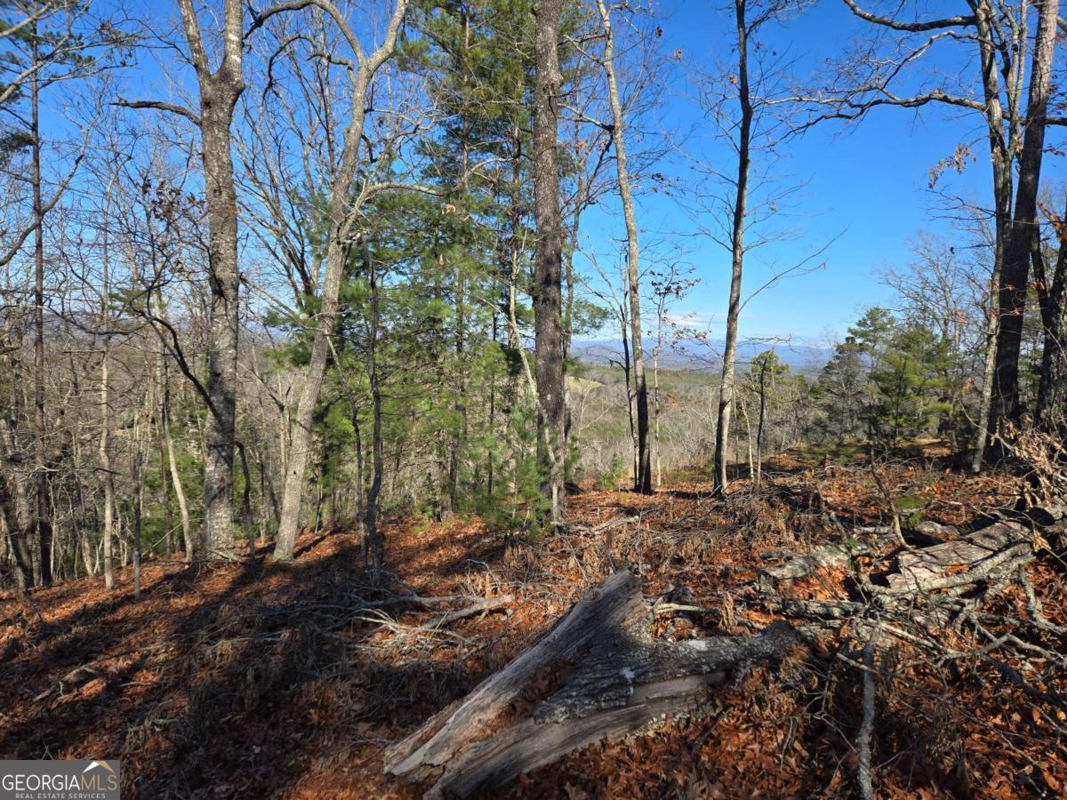 416 Undisclosed Drive Morganton GA 30560