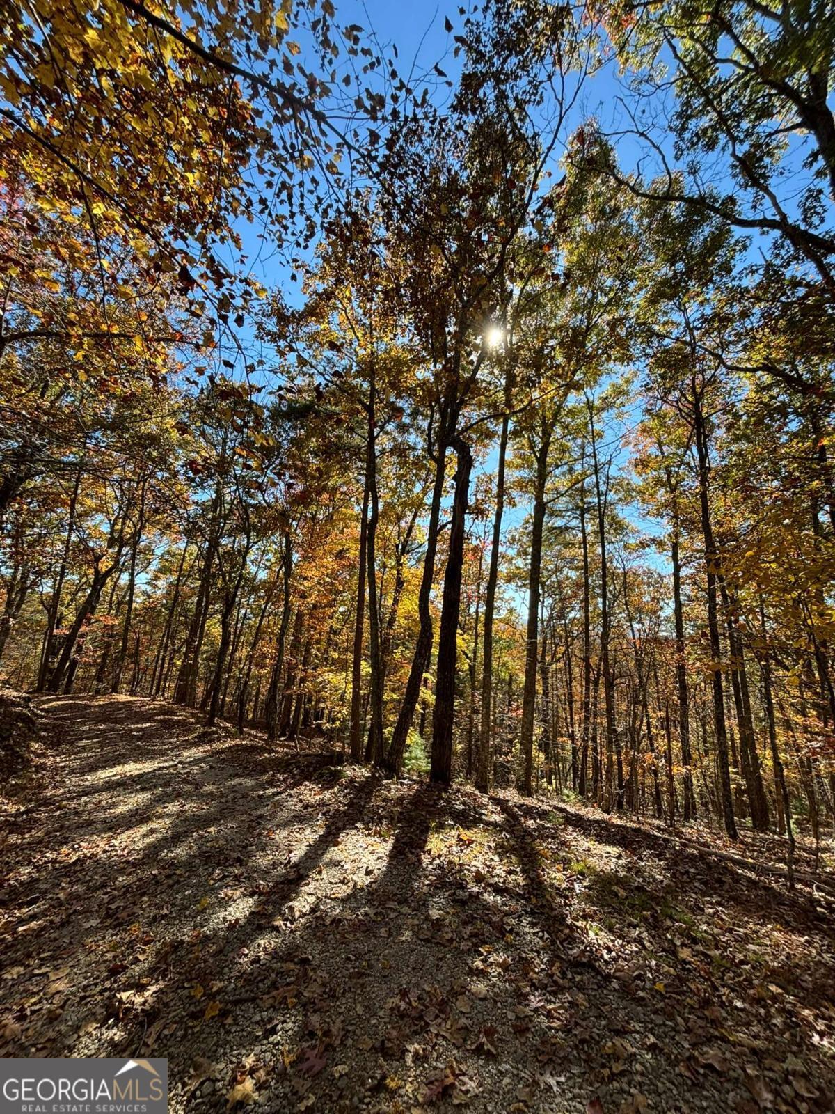 416 Undisclosed Drive Morganton GA 30560