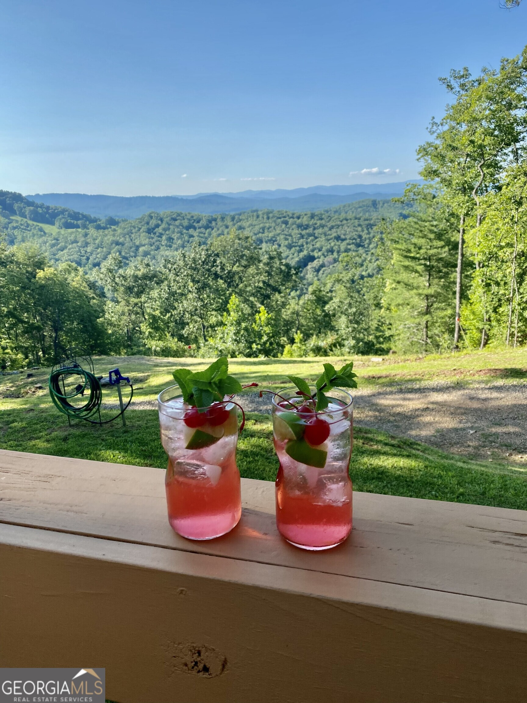 416 Undisclosed Drive Morganton GA 30560