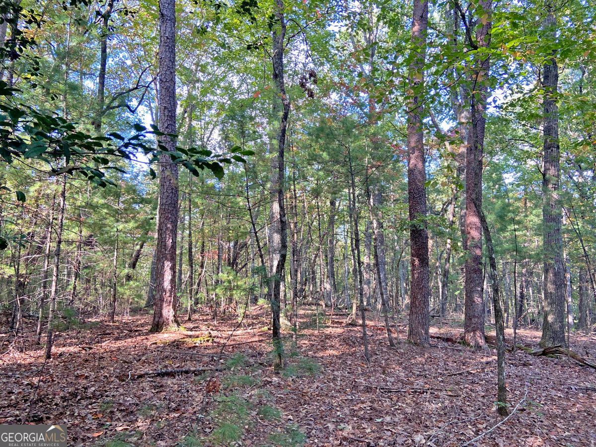 169 Dunns Road Dahlonega GA 30533