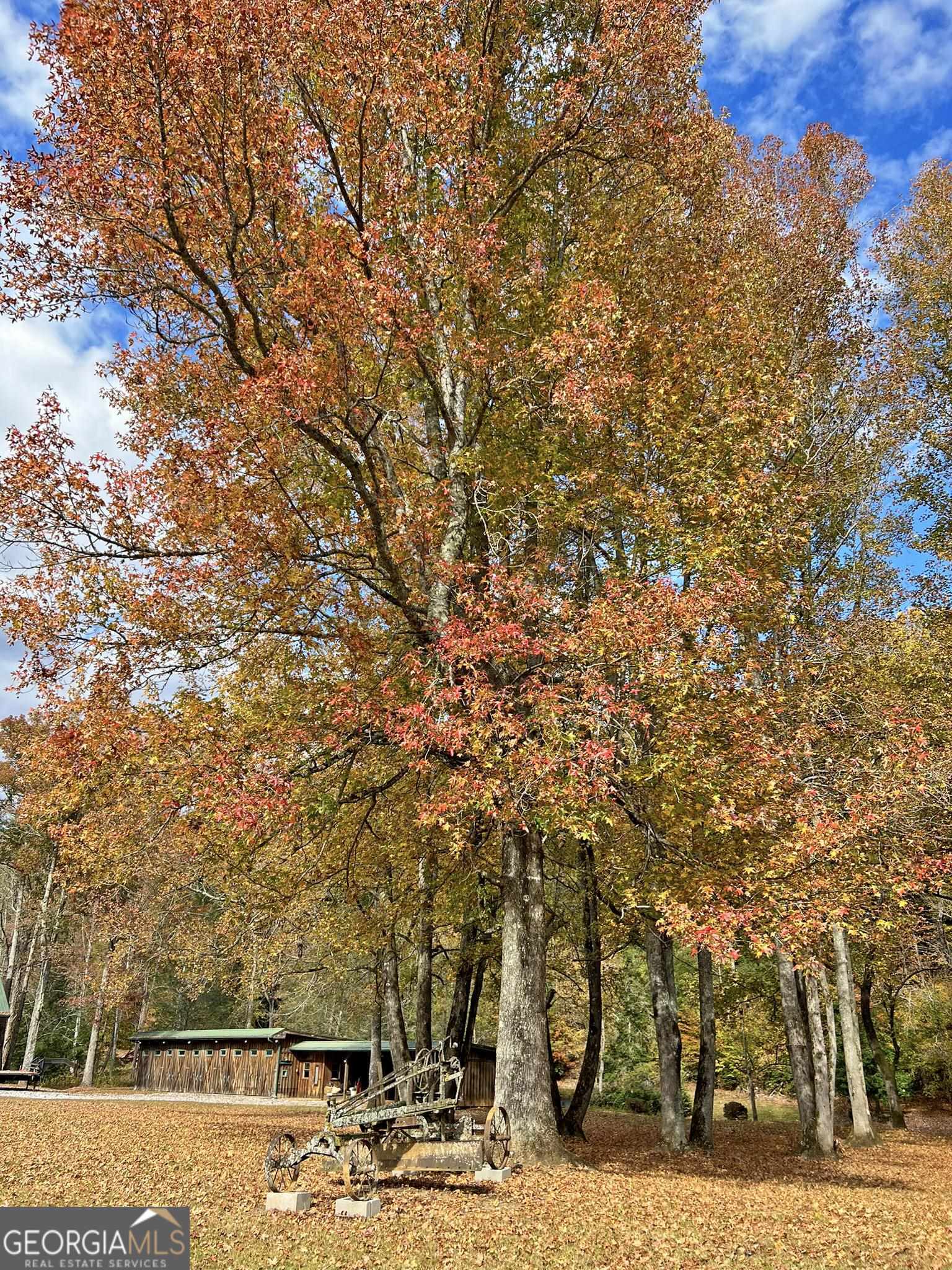 169 Dunns Road Dahlonega GA 30533