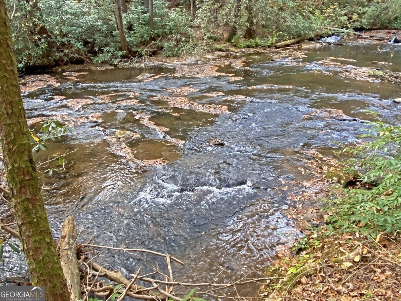 169 Dunns Road Dahlonega GA 30533