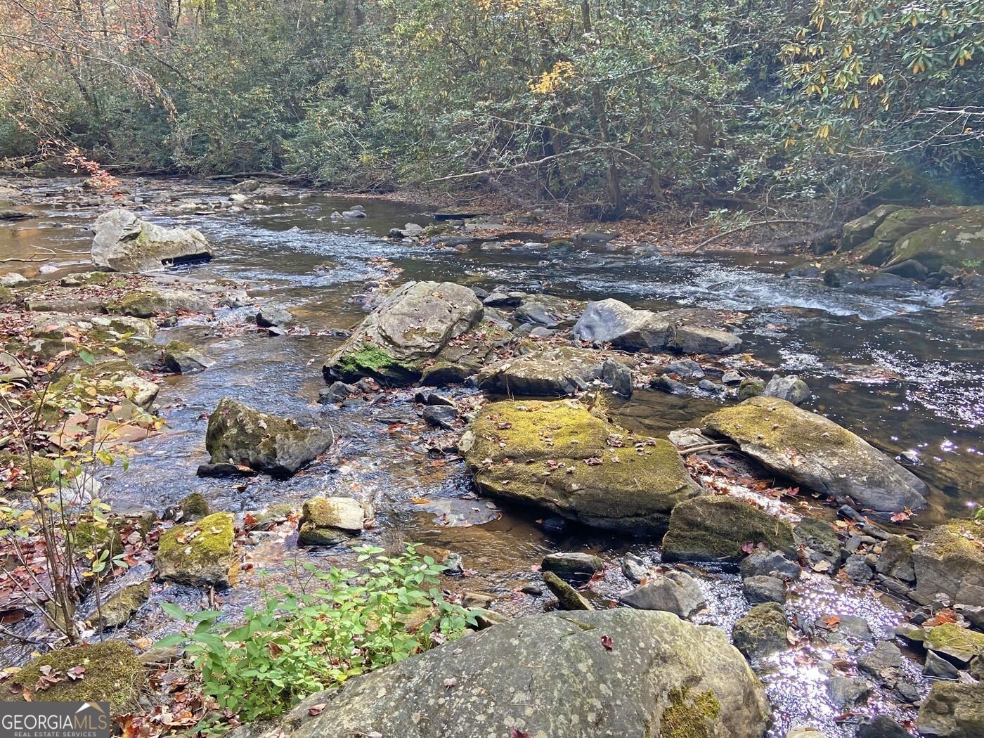 169 Dunns Road Dahlonega GA 30533