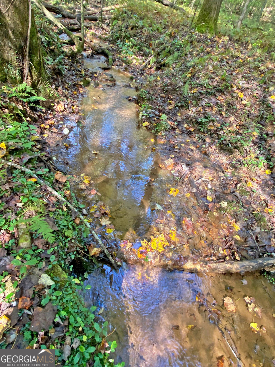 169 Dunns Road Dahlonega GA 30533
