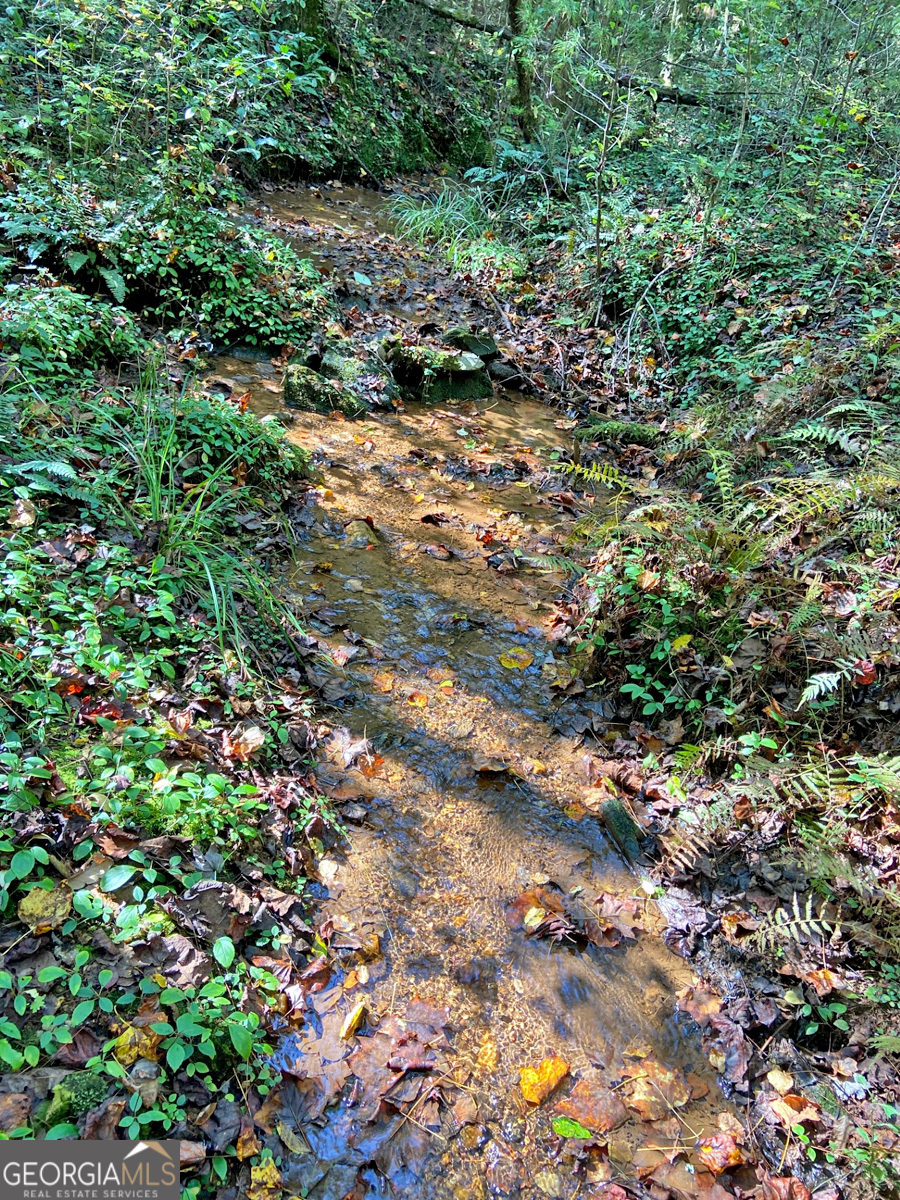 169 Dunns Road Dahlonega GA 30533