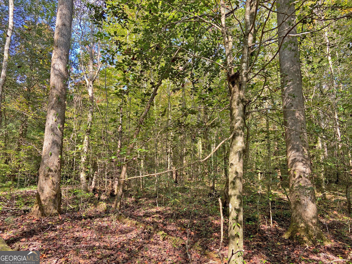 169 Dunns Road Dahlonega GA 30533