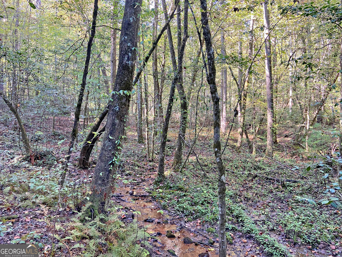 169 Dunns Road Dahlonega GA 30533