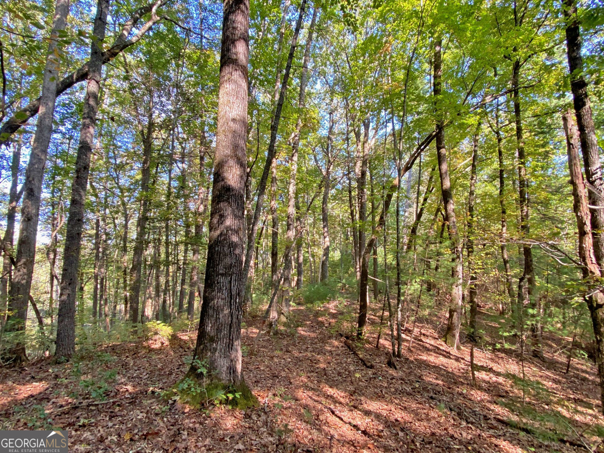 169 Dunns Road Dahlonega GA 30533