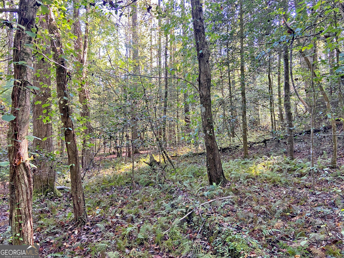 169 Dunns Road Dahlonega GA 30533