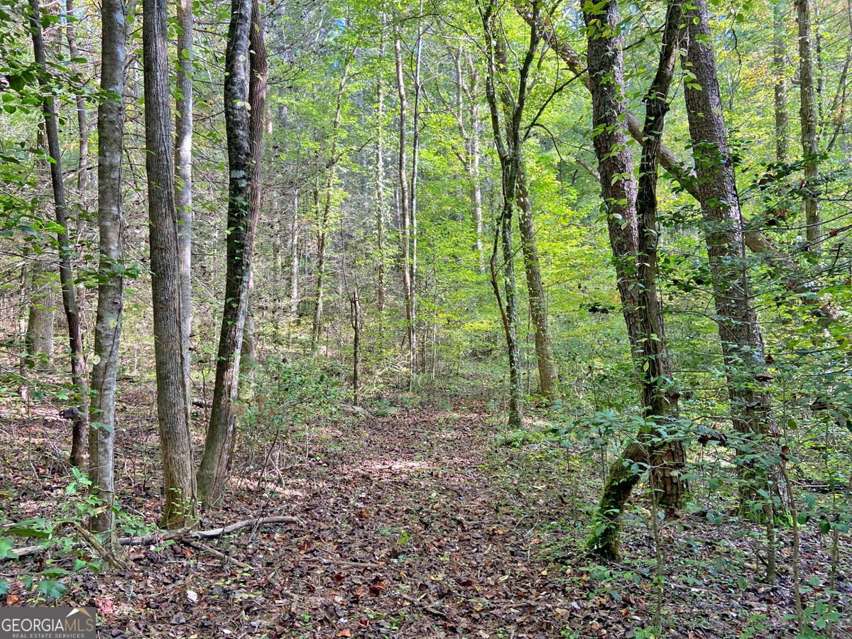 169 Dunns Road Dahlonega GA 30533