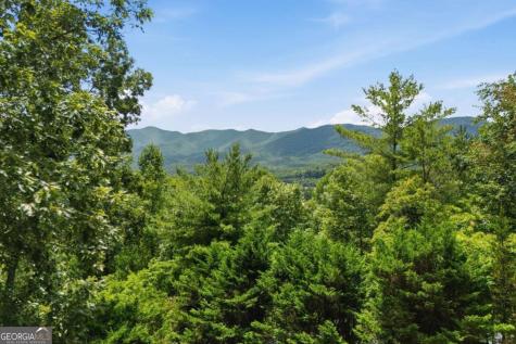 93 Jamie Lane Blairsville GA 30512
