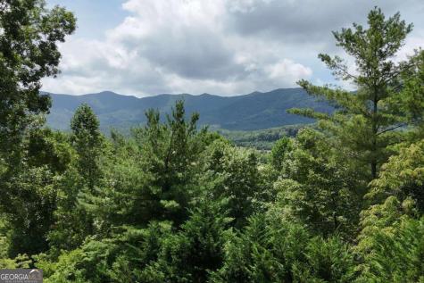 93 Jamie Lane Blairsville GA 30512