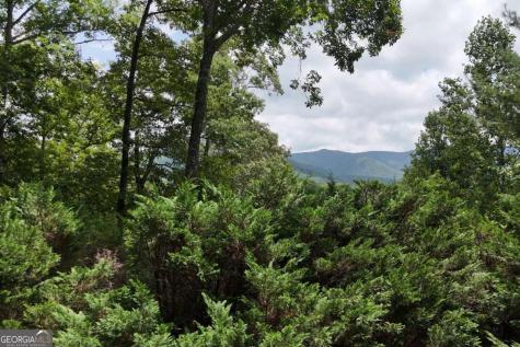 93 Jamie Lane Blairsville GA 30512