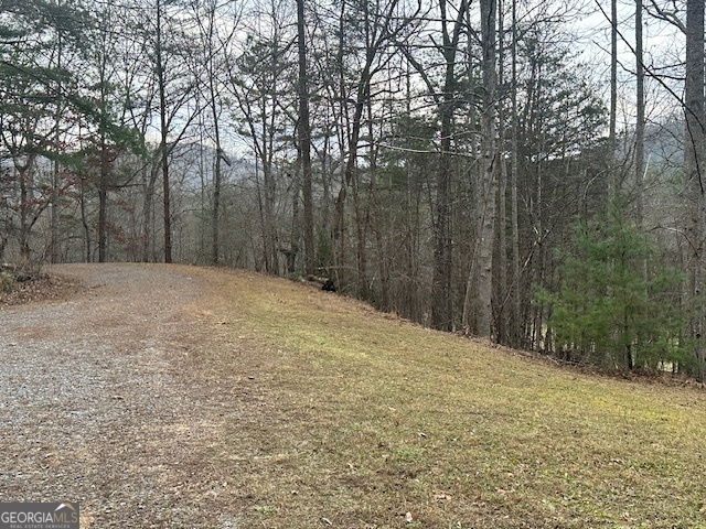 1200 Knollwood Road Mineral Bluff GA 30559