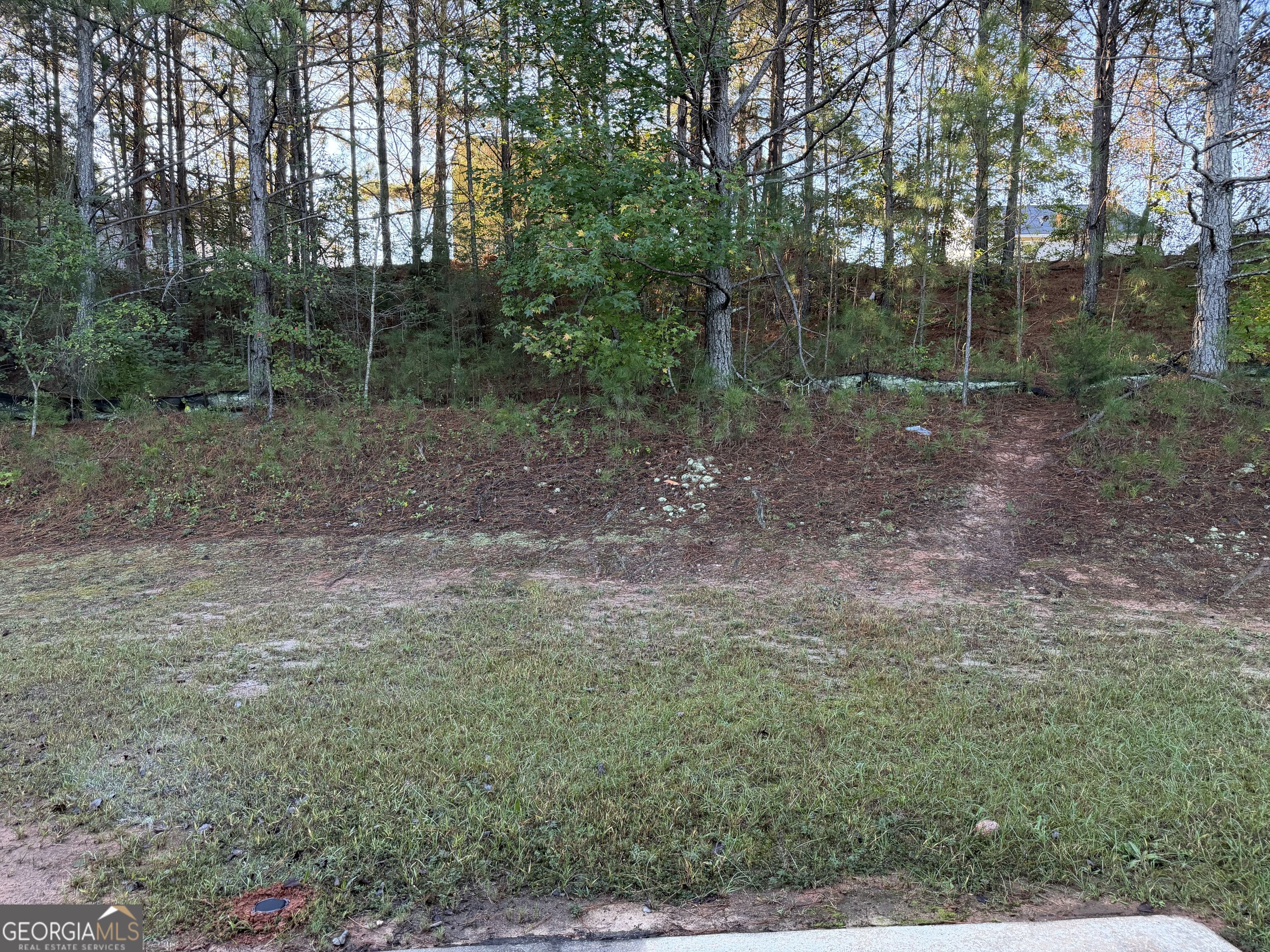 1770 Park Court Griffin GA 30224