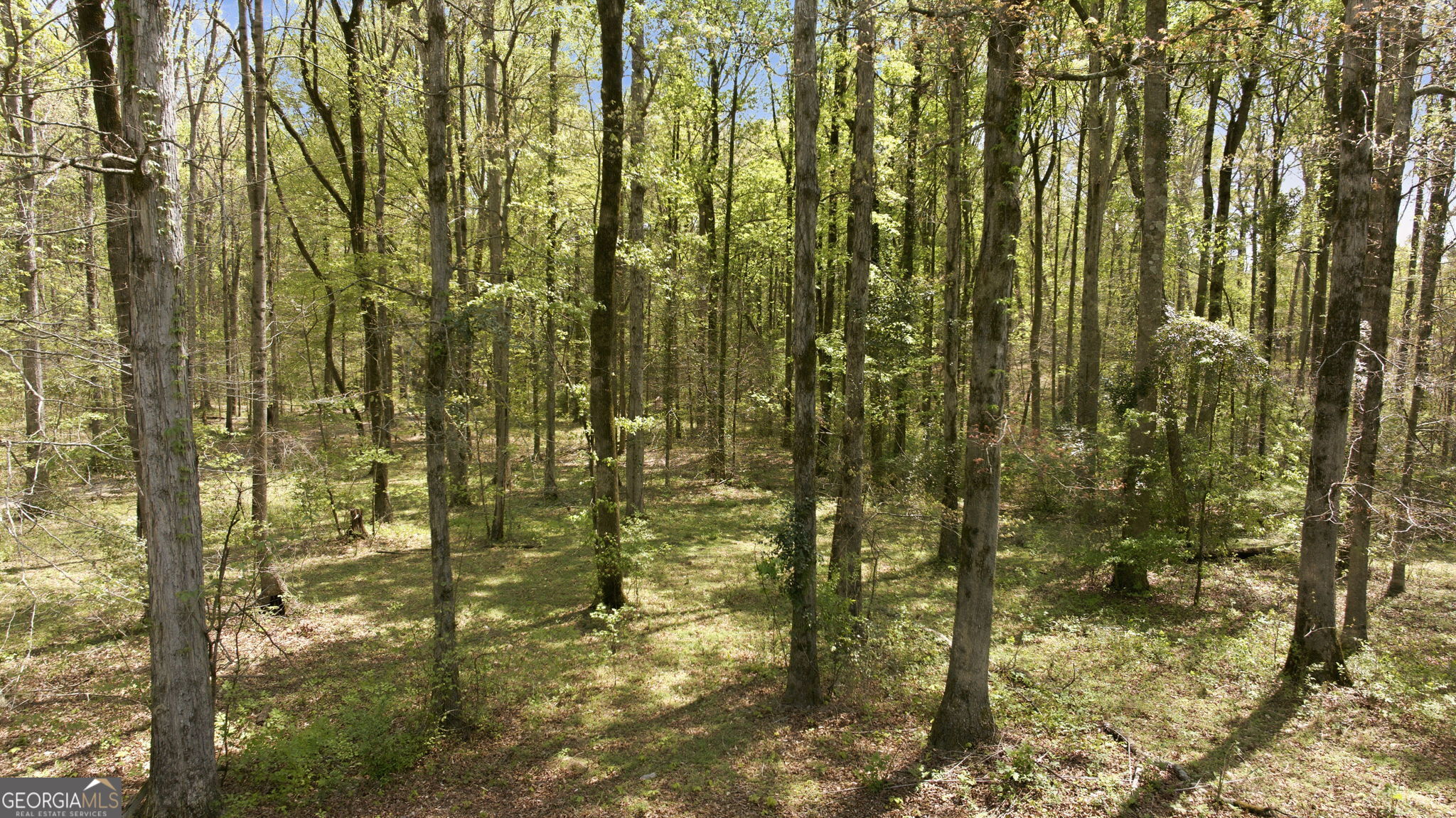 4829 Old Pendergrass Road Jefferson GA 30549