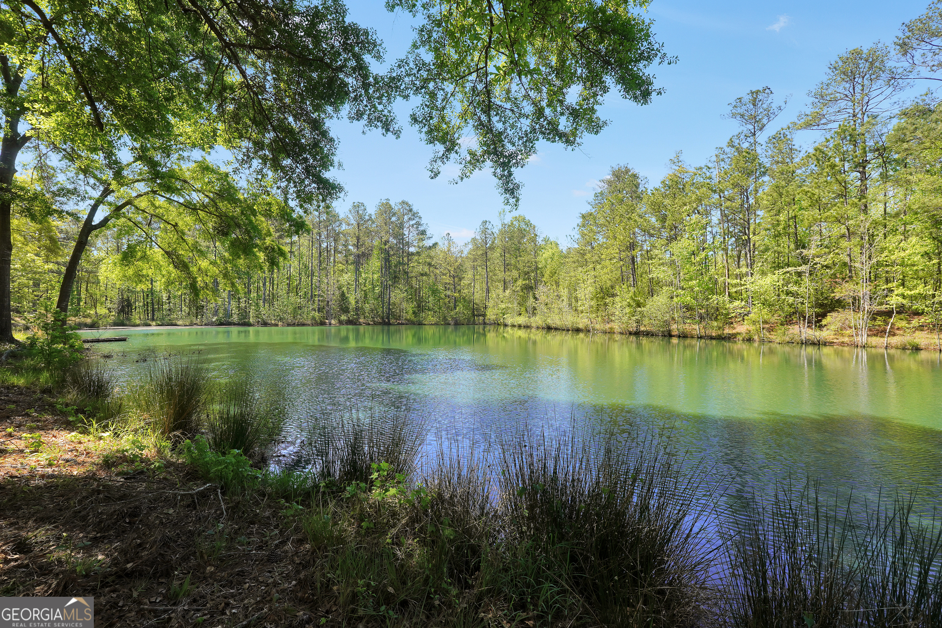 79 Woodland Way Juliette GA 31046