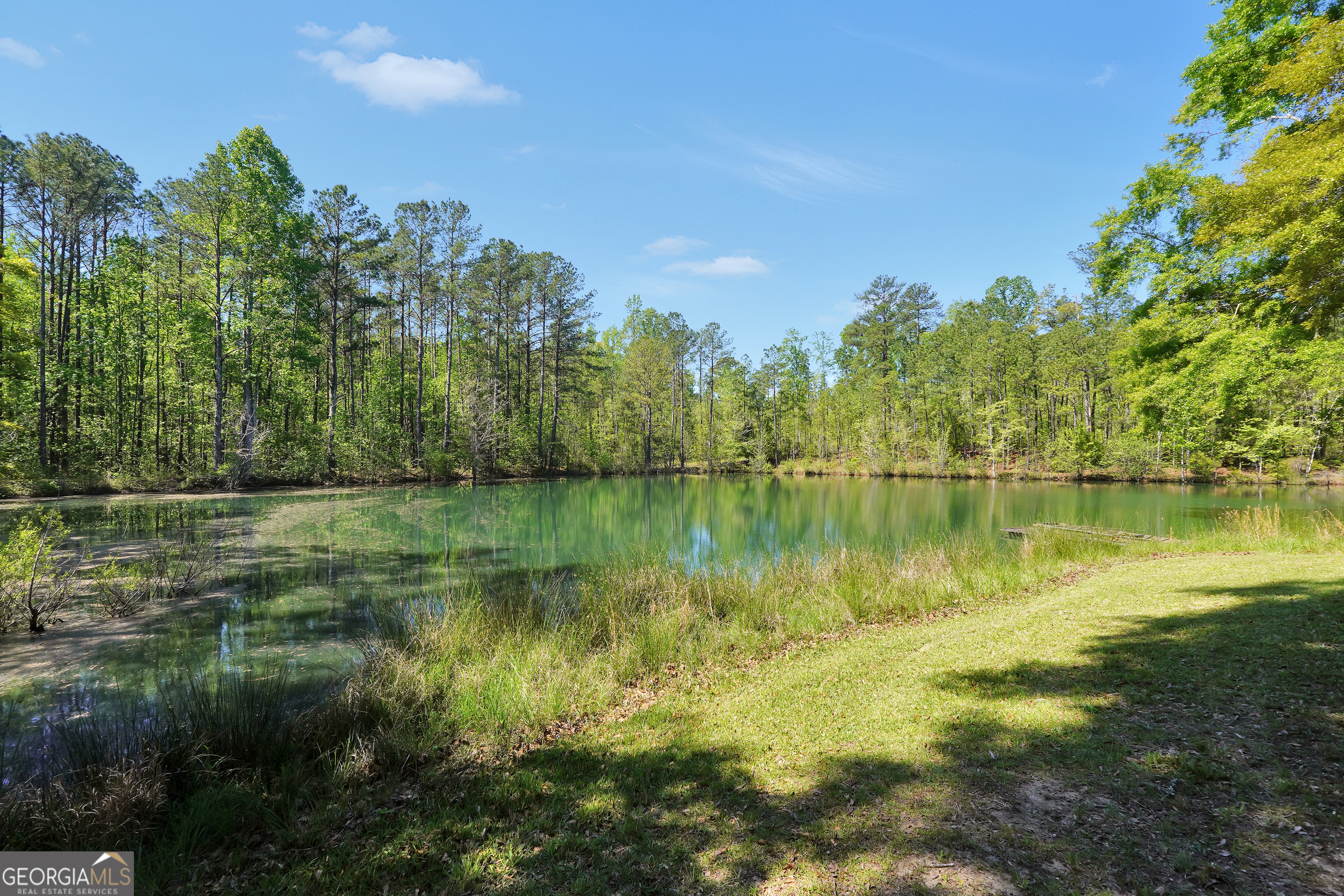 79 Woodland Way Juliette GA 31046