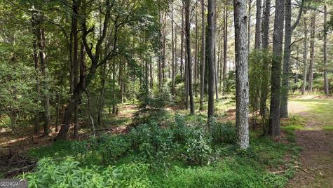 3729 Duncan Bridge Road Cornelia GA 30531