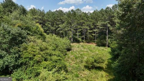3729 Duncan Bridge Road Cornelia GA 30531