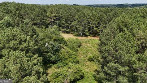 3729 Duncan Bridge Road Cornelia GA 30531