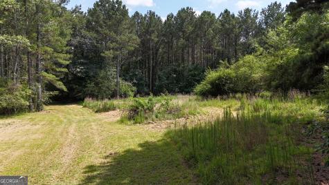 3729 Duncan Bridge Road Cornelia GA 30531